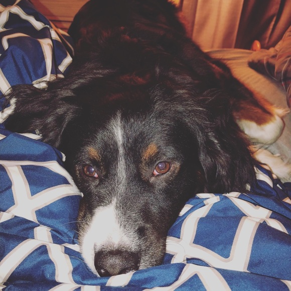 Meet your Posher, Andrea - Picture 6 of 8